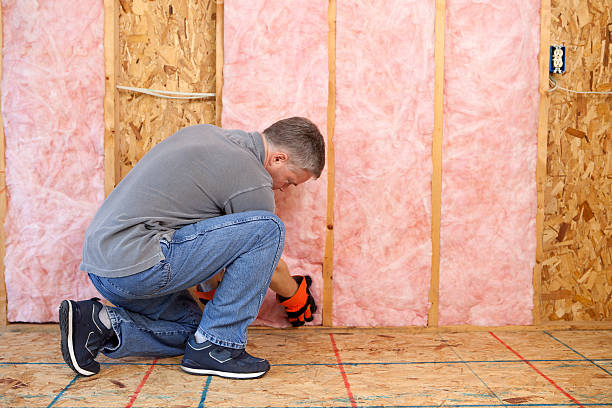 Best Eco-Friendly Insulation in Vienna, VA