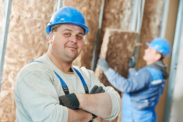 Best Geographic-Specific Insulation Services in Vienna, VA