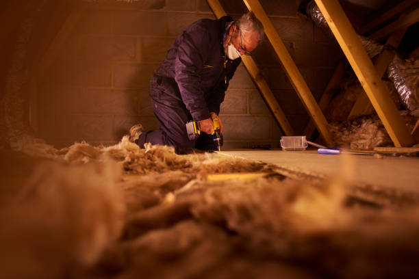 Best Residential Insulation in Vienna, VA